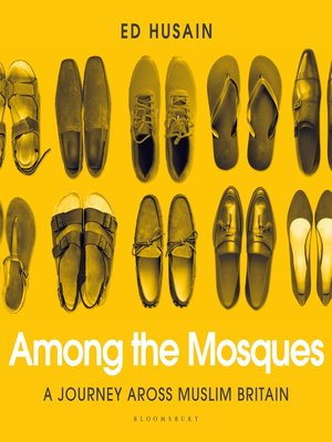 cover image of Among the Mosques